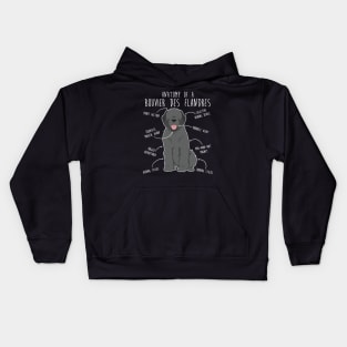 Bouvier Des Flandres Grey Dog Anatomy Kids Hoodie